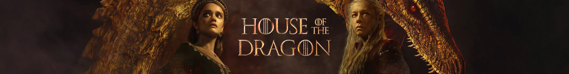 House of the Dragon placky banner