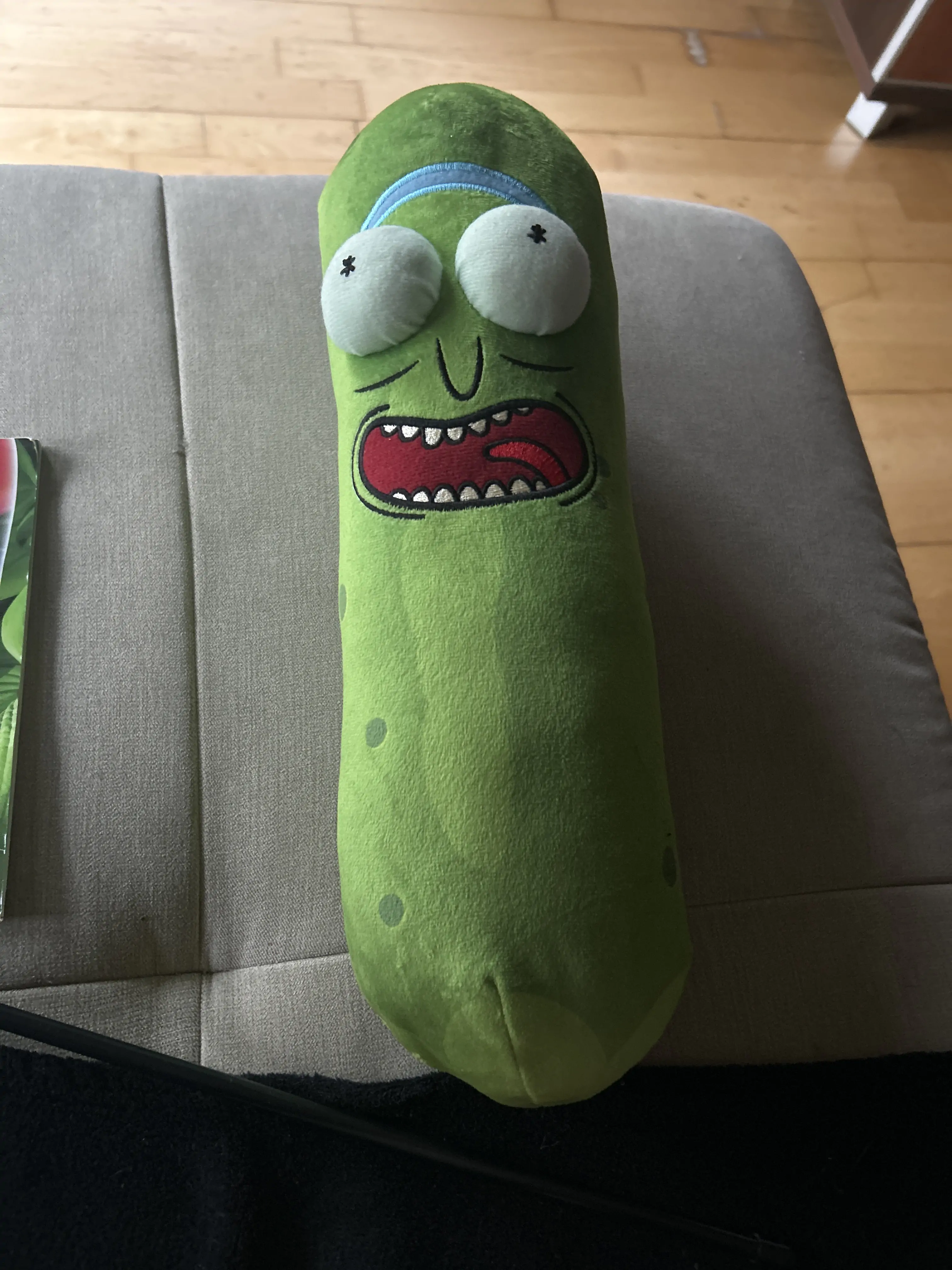 Rick and Morty Pickle Rick plyšová hračka 38 cm fotografii produktu