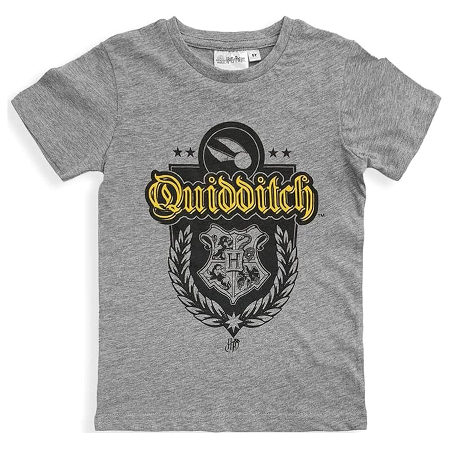 Harry Potter Quidditch šedé dětské tričko s krátkým rukávem, top fotografii produktu