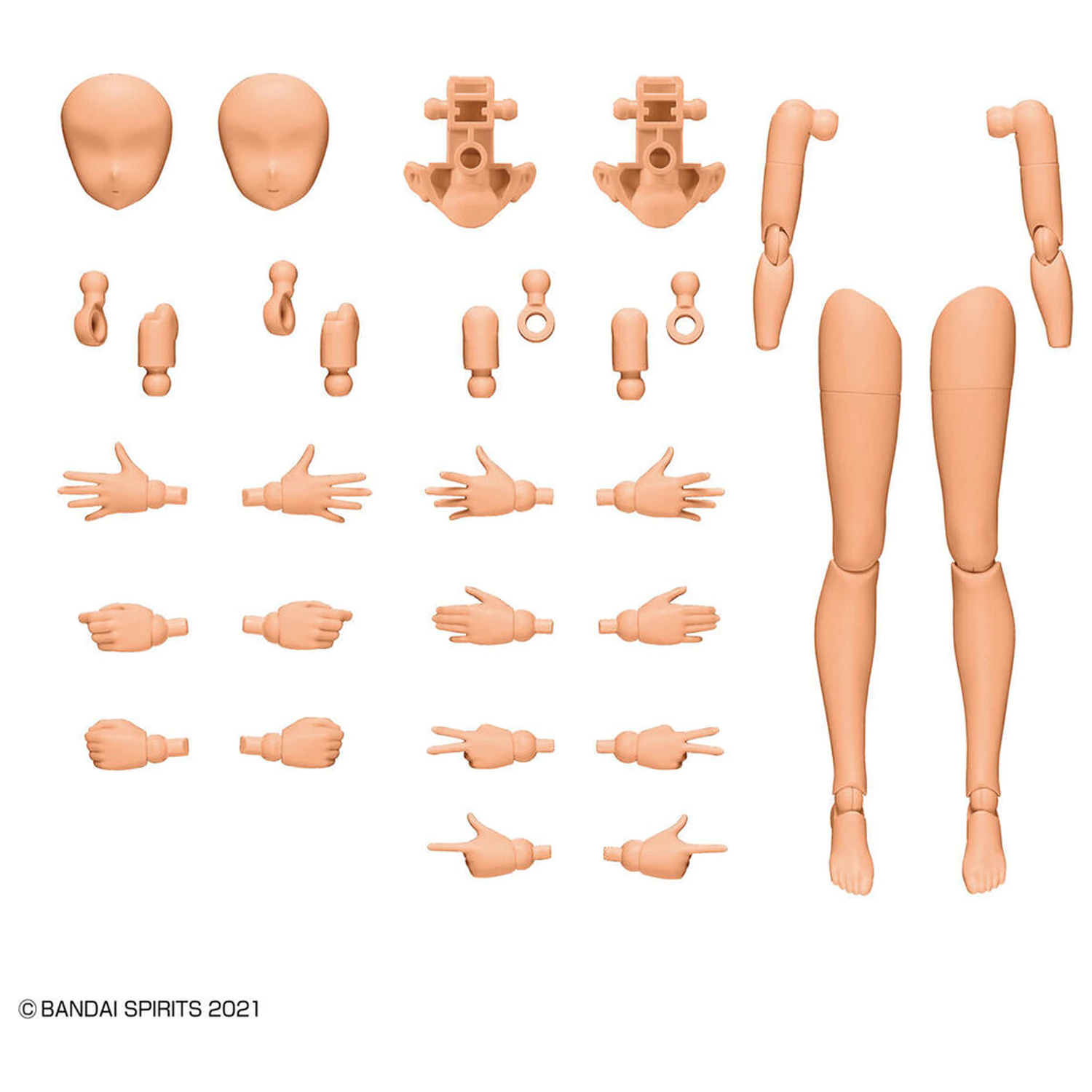 30MS Body Parts Set s částmi paží a nohou, barva C fotografii produktu