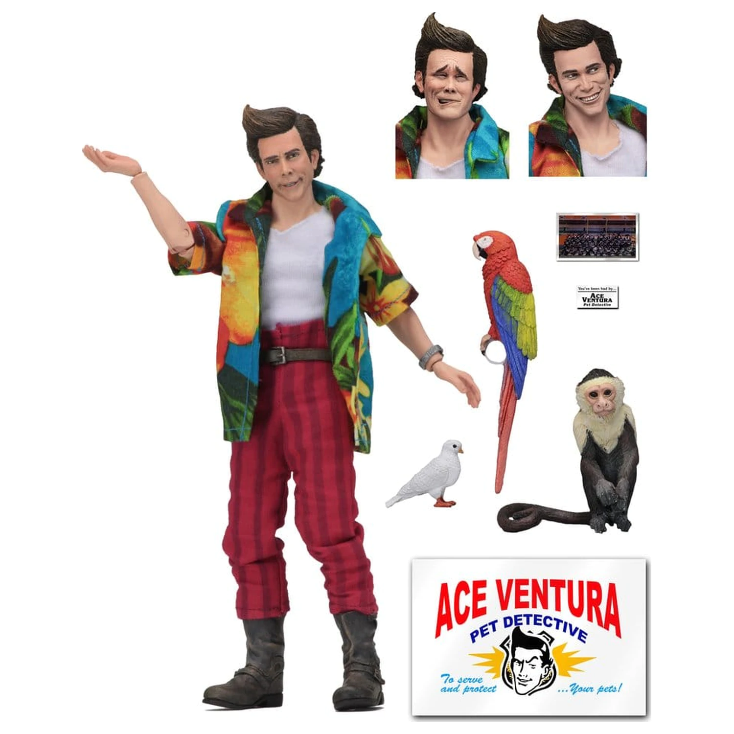 Ace Ventura akční figurka Ace Ventura 20 cm fotografii produktu