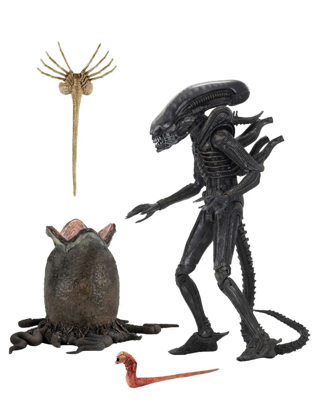 Alien 1979 Akční figurka Ultimate 40th Anniversary Big Chap 23 cm fotografii produktu