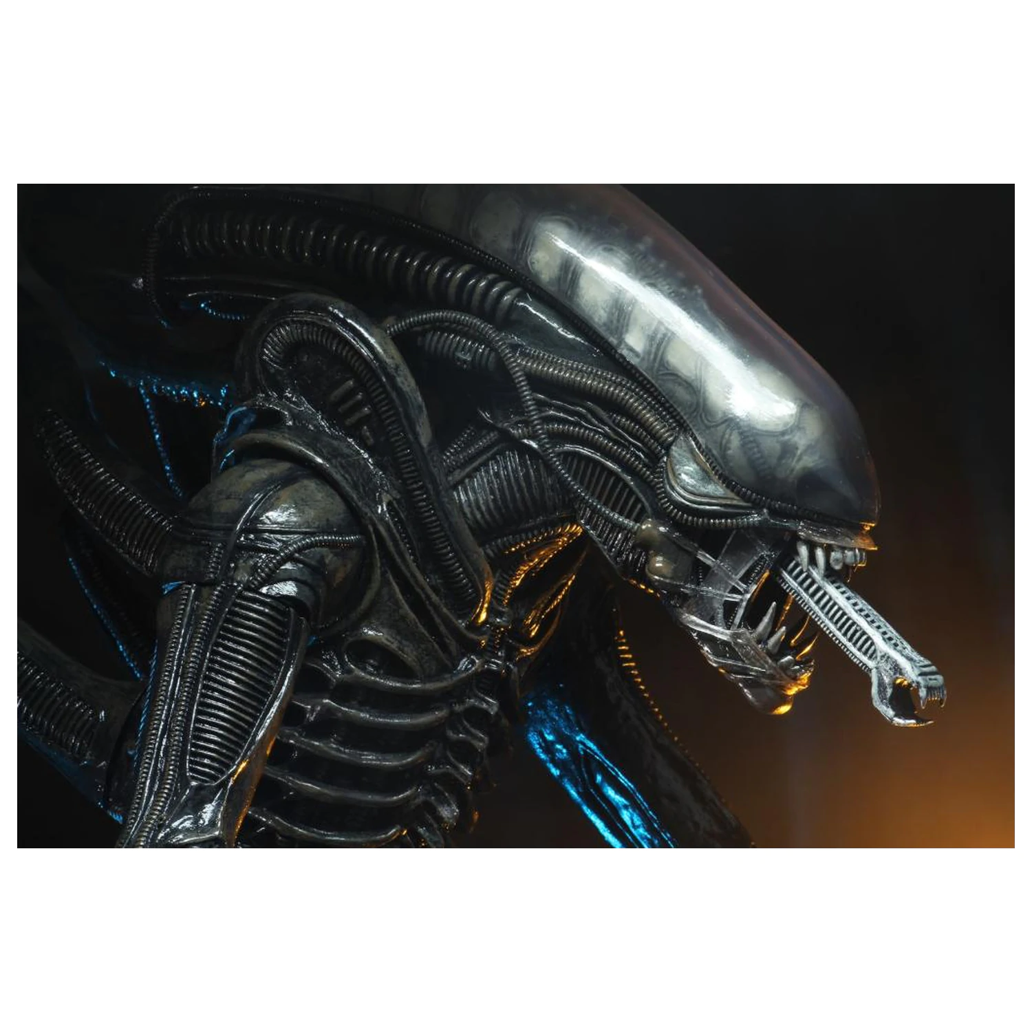 Figurka Alien Big Chap 1/4 55 cm fotografii produktu
