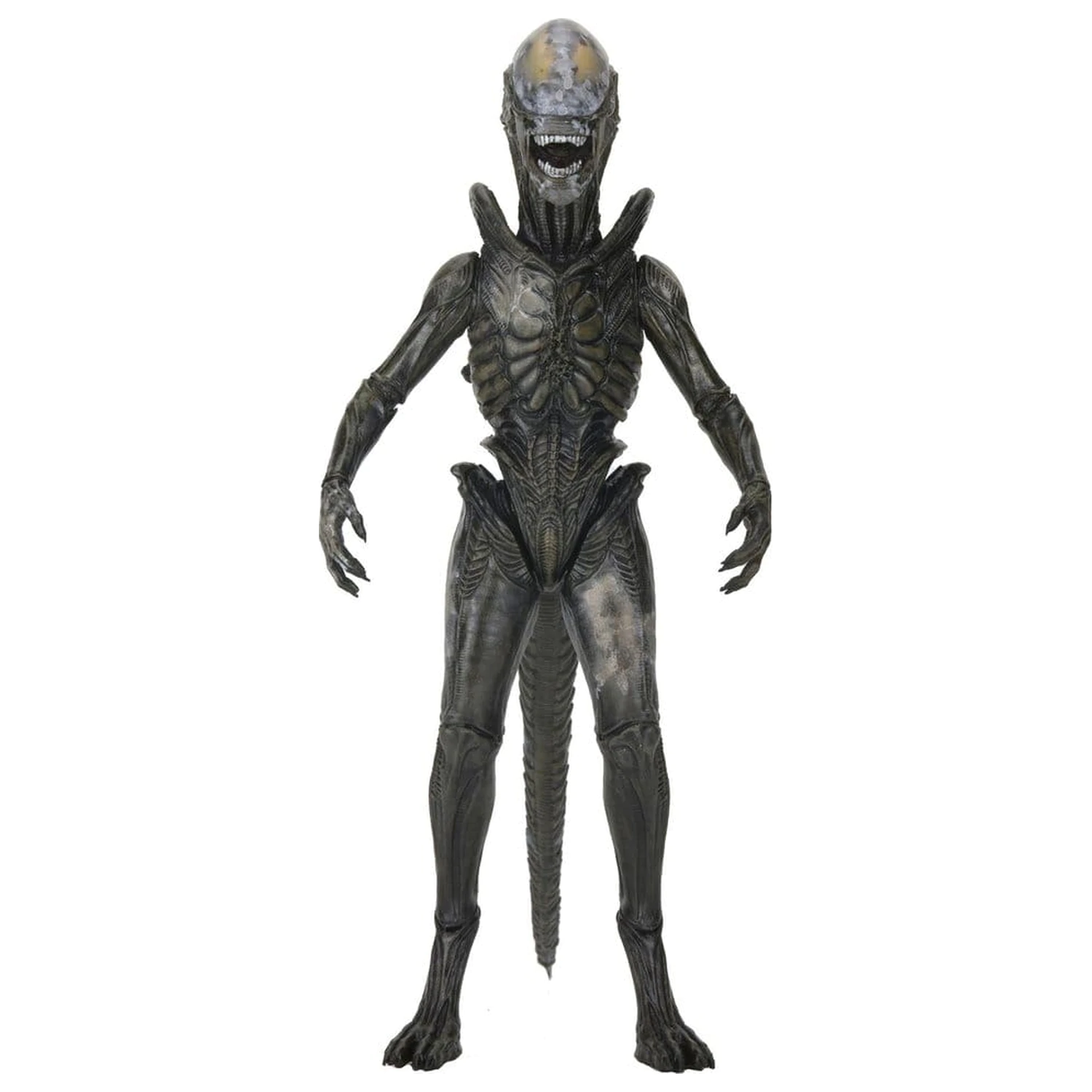 Alien: Earth Ultimate akční figurka Wendy's Xenomorph 18 cm fotografii produktu
