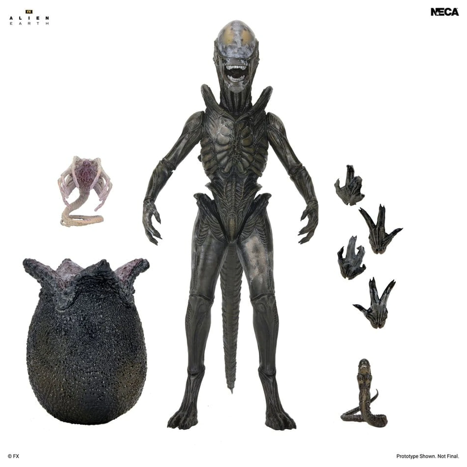 Alien: Earth Ultimate akční figurka Wendy's Xenomorph 18 cm fotografii produktu