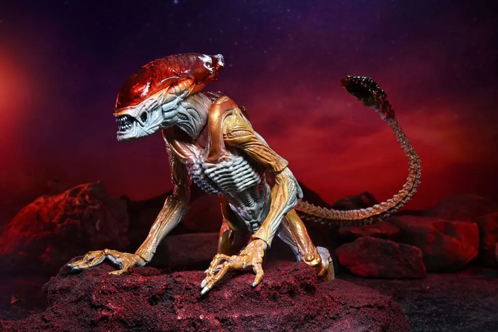 Aliens akční figurka Panther Alien (Kenner Tribute) 23 cm fotografii produktu