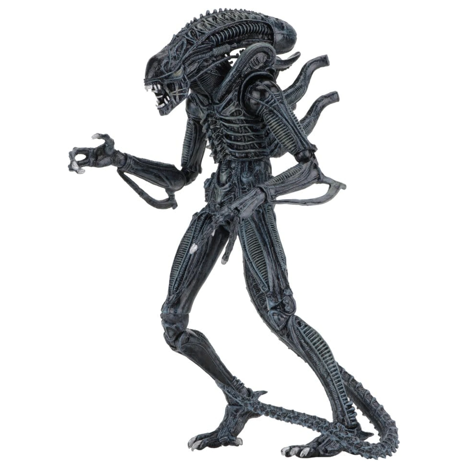 Aliens Ultimate Akční figurka Warrior (1986) Blue 23 cm fotografii produktu