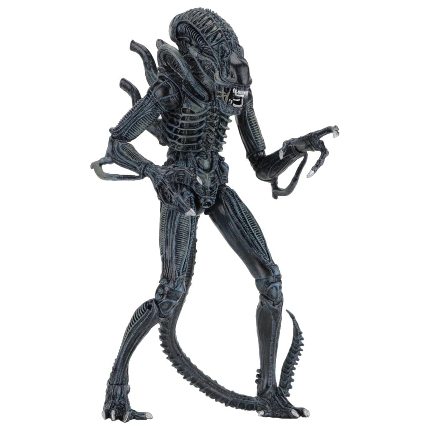 Aliens Ultimate Akční figurka Warrior (1986) Blue 23 cm fotografii produktu
