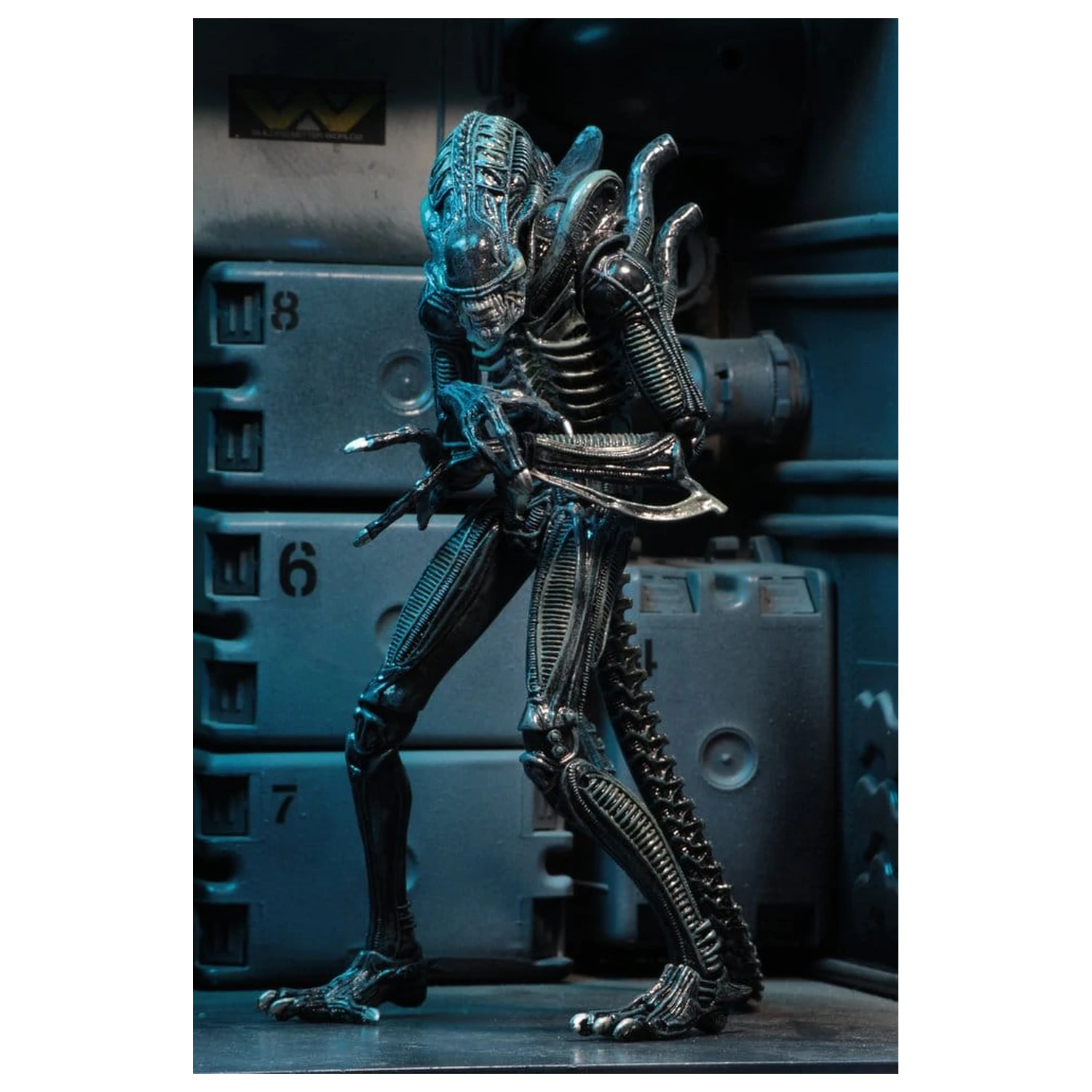 Aliens Ultimate Akční figurka Warrior (1986) Blue 23 cm fotografii produktu