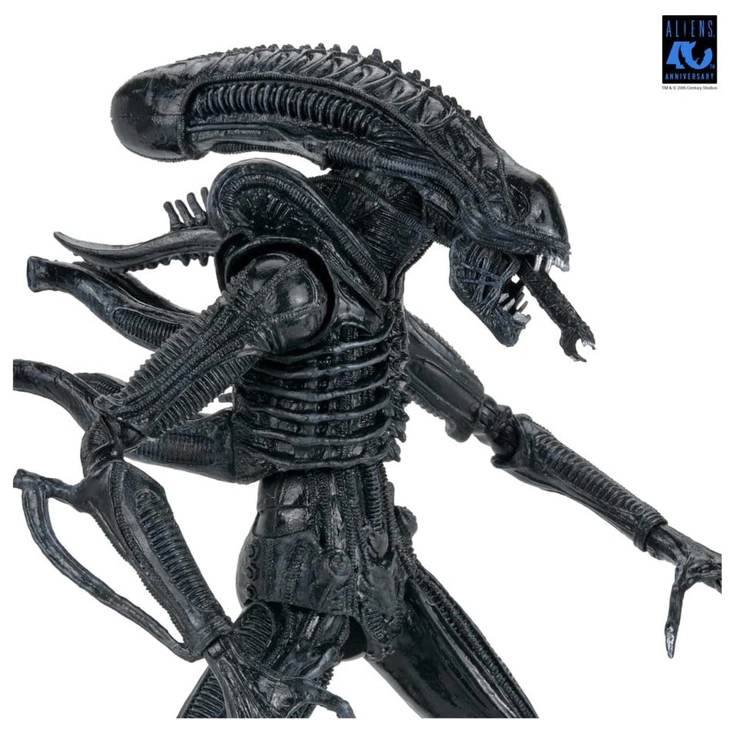 Aliens Ultimate Akční figurka Warrior (1986) Xenomorph Black (40th Anniversary) 23 cm fotografii produktu