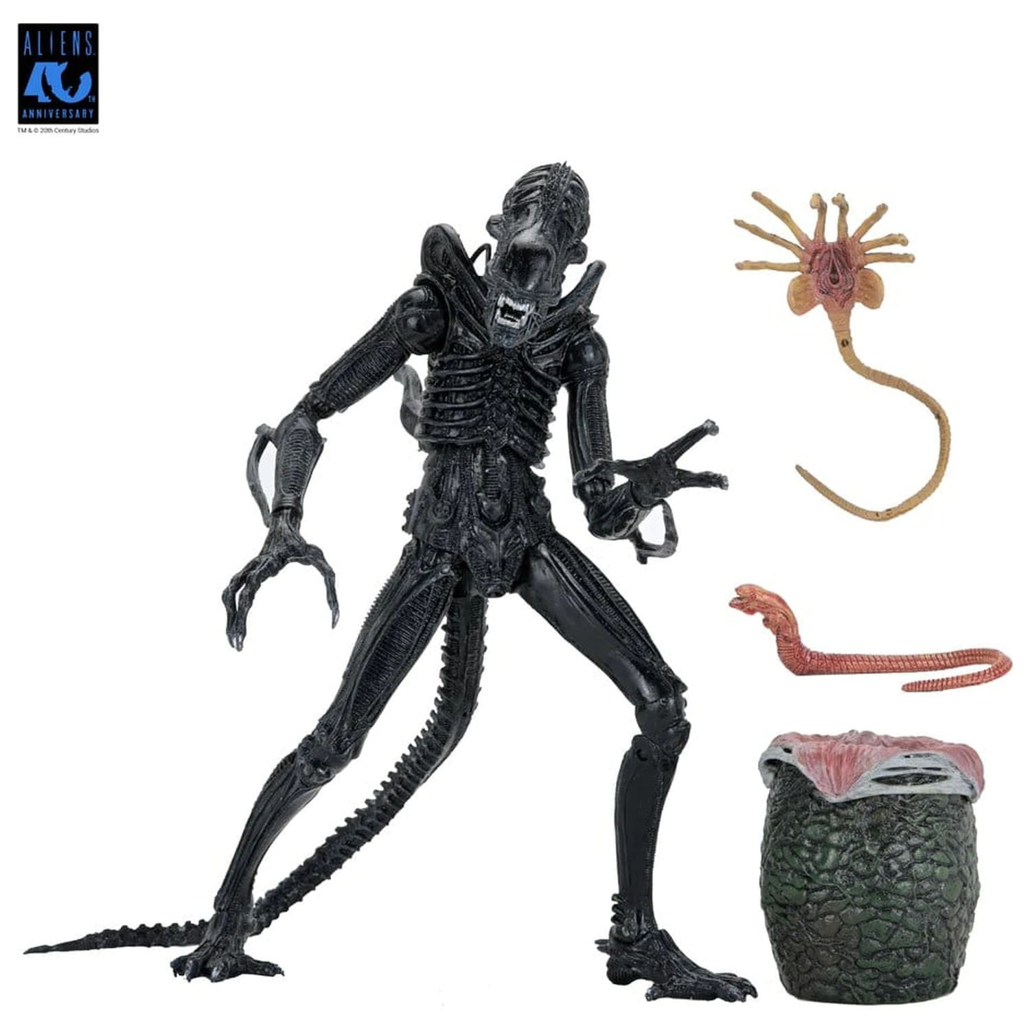 Aliens Ultimate Akční figurka Warrior (1986) Xenomorph Black (40th Anniversary) 23 cm fotografii produktu