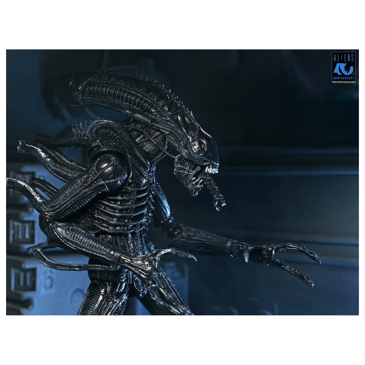 Aliens Ultimate Akční figurka Warrior (1986) Xenomorph Black (40th Anniversary) 23 cm fotografii produktu