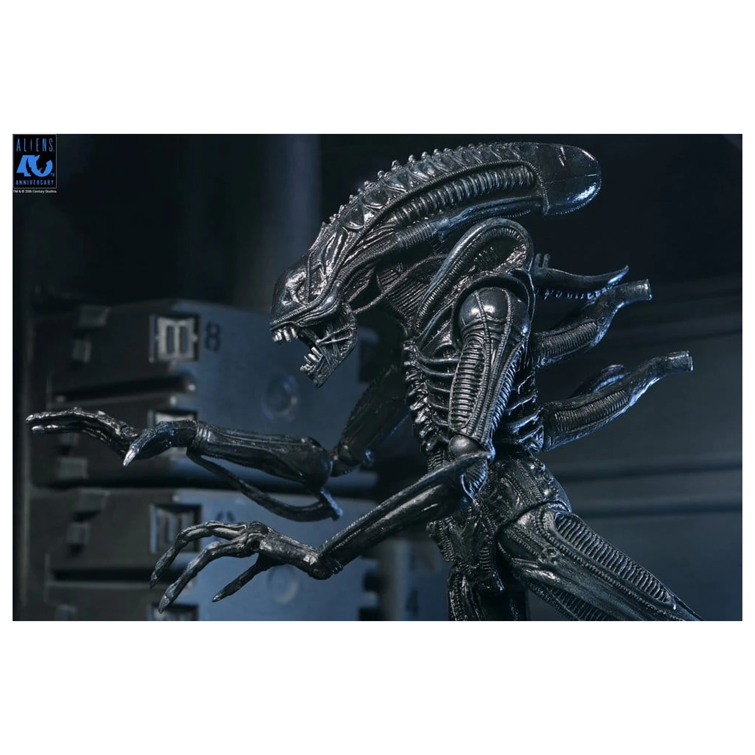 Aliens Ultimate Akční figurka Warrior (1986) Xenomorph Black (40th Anniversary) 23 cm fotografii produktu