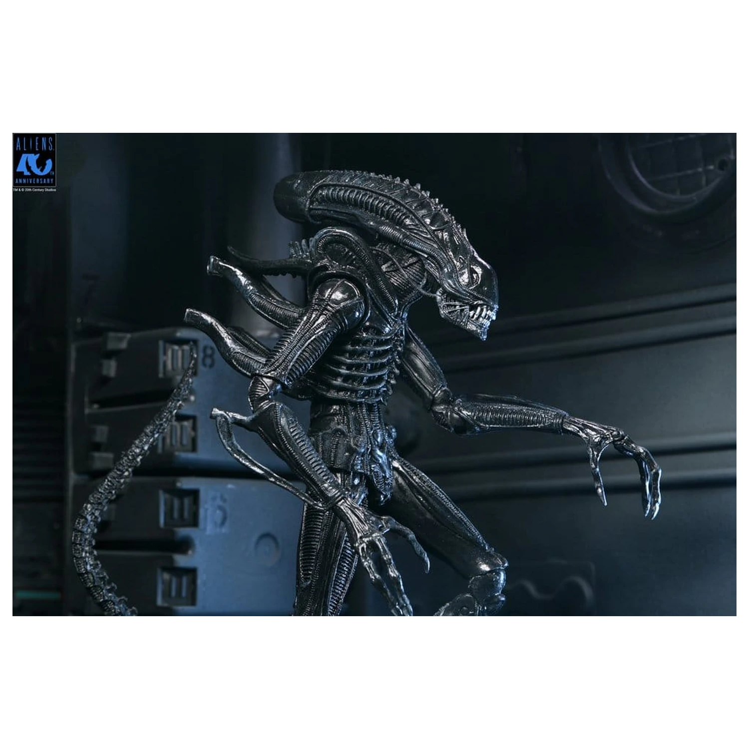 Aliens Ultimate Akční figurka Warrior (1986) Xenomorph Black (40th Anniversary) 23 cm fotografii produktu