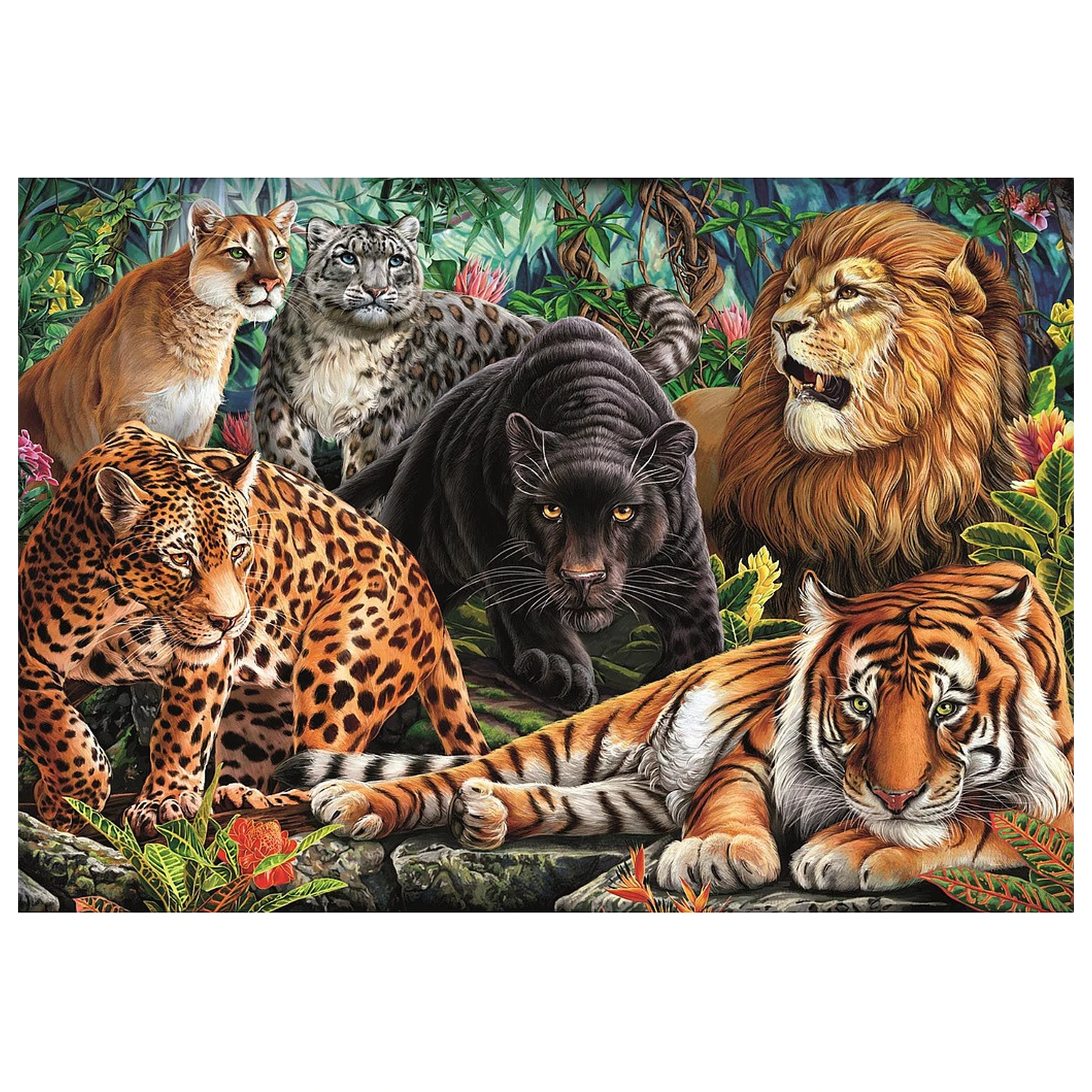 Animal Wild Cats 500dílné puzzle fotografii produktu