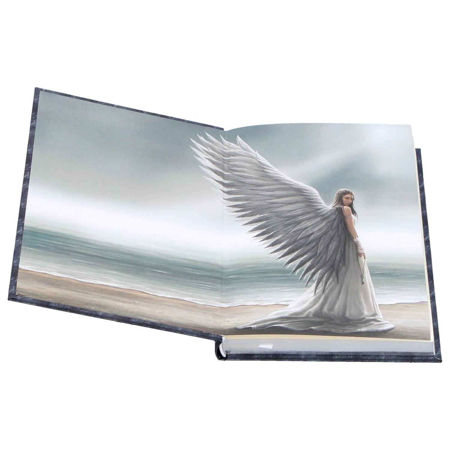Anne Stokes Journal Spirit Guide A5 fotografii produktu