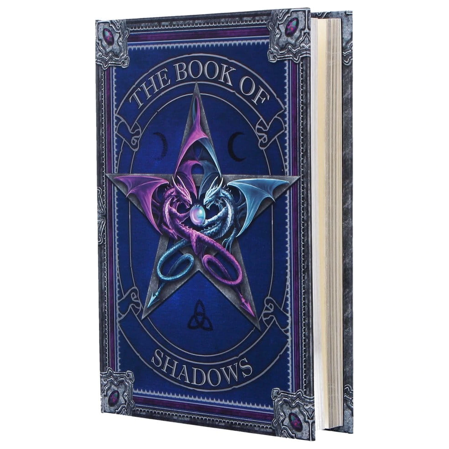Anne Stokes Zápisník The Book of Shadows A5 fotografii produktu