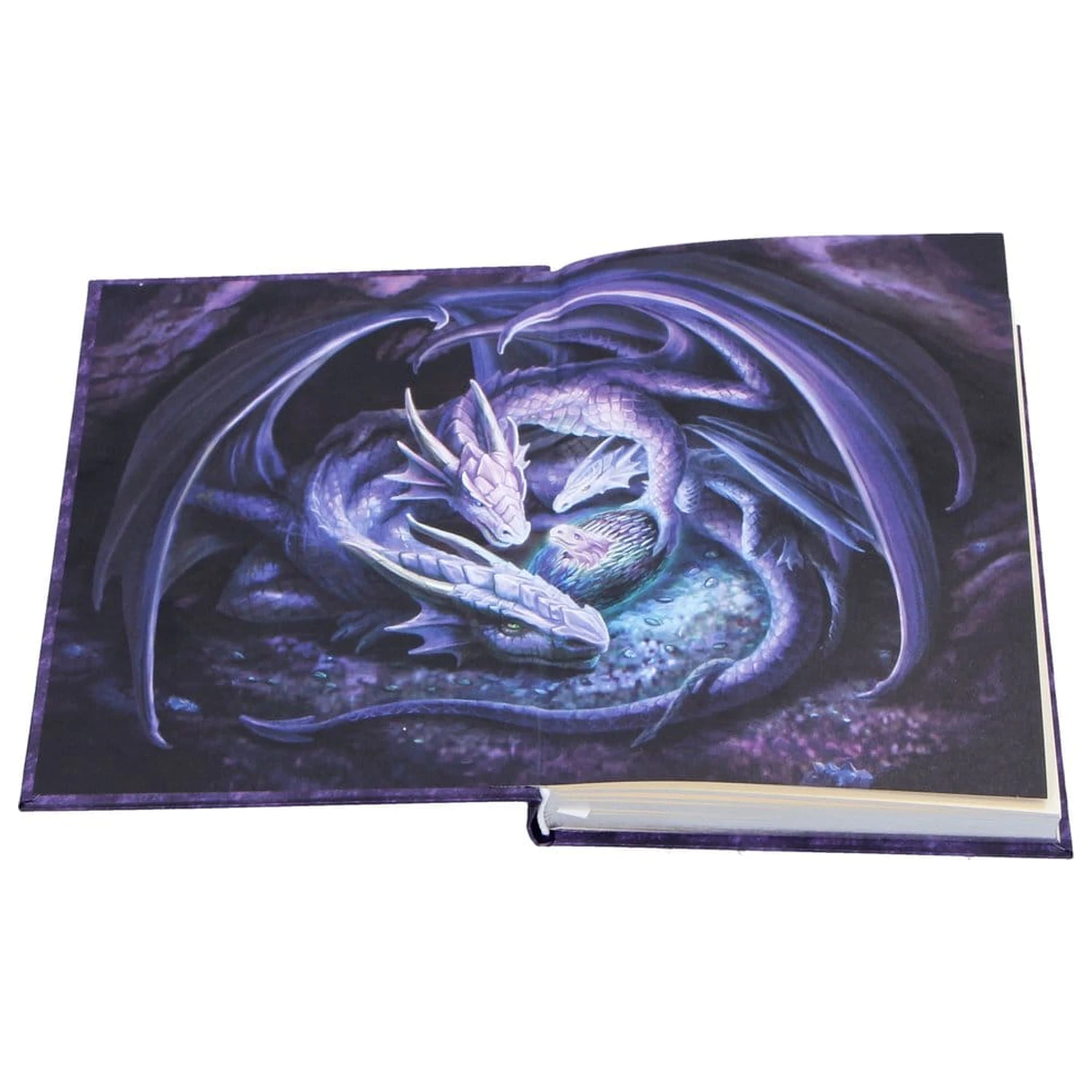 Anne Stokes Zápisník Welcome Hatchling A5 fotografii produktu
