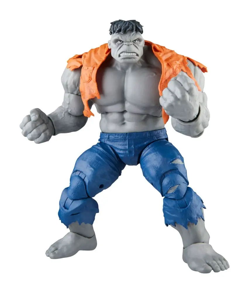 Avengers Marvel Legends akční figurky Šedý Hulk a Dr. Bruce Banner 15 cm fotografii produktu