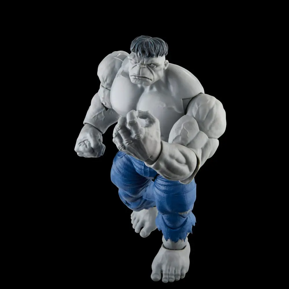 Avengers Marvel Legends akční figurky Šedý Hulk a Dr. Bruce Banner 15 cm fotografii produktu