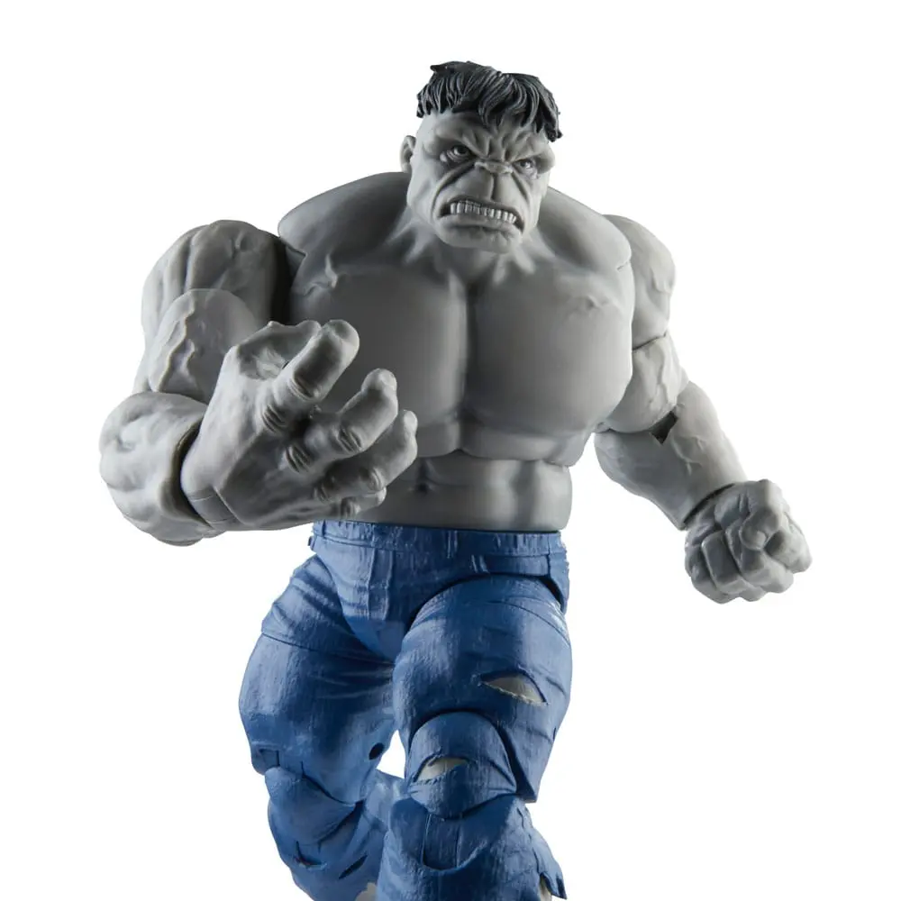 Avengers Marvel Legends akční figurky Šedý Hulk a Dr. Bruce Banner 15 cm fotografii produktu