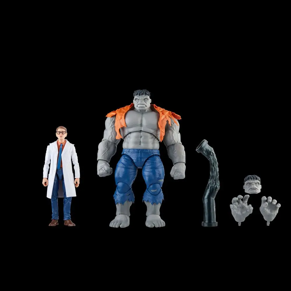 Avengers Marvel Legends akční figurky Šedý Hulk a Dr. Bruce Banner 15 cm fotografii produktu