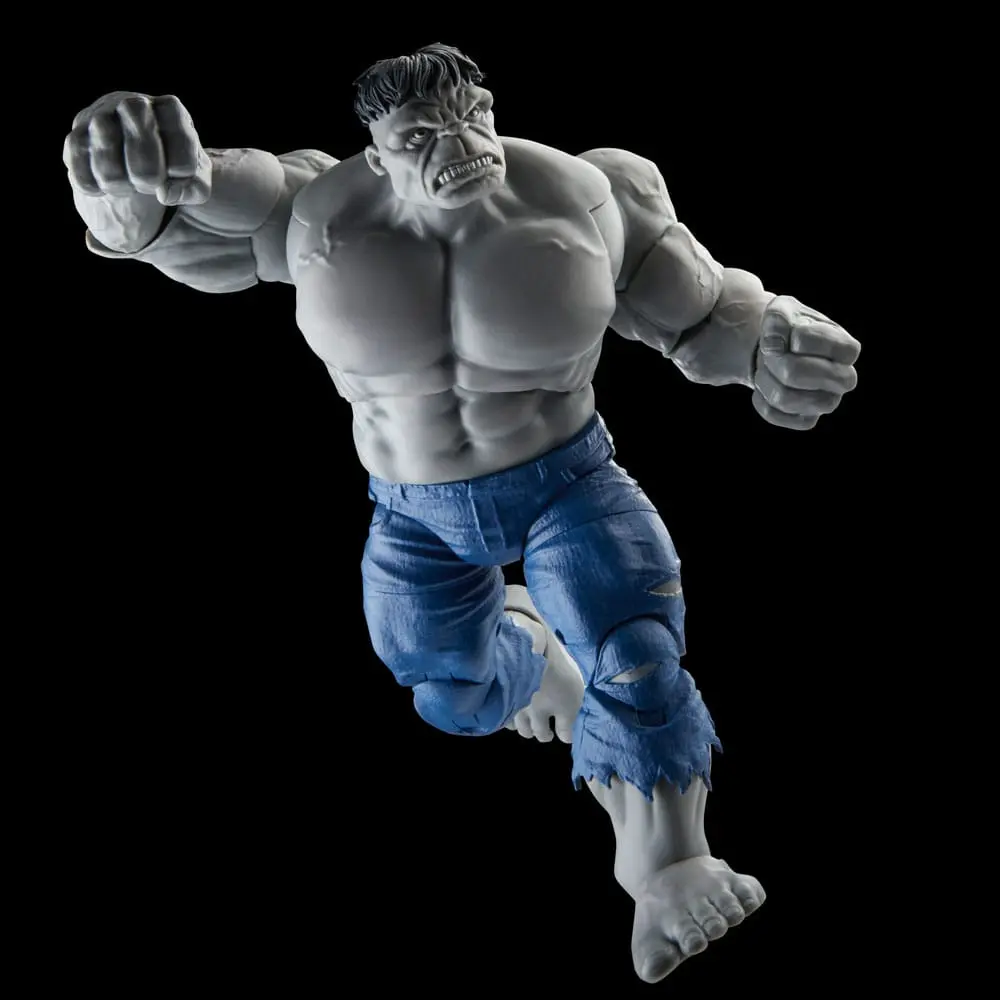 Avengers Marvel Legends akční figurky Šedý Hulk a Dr. Bruce Banner 15 cm fotografii produktu