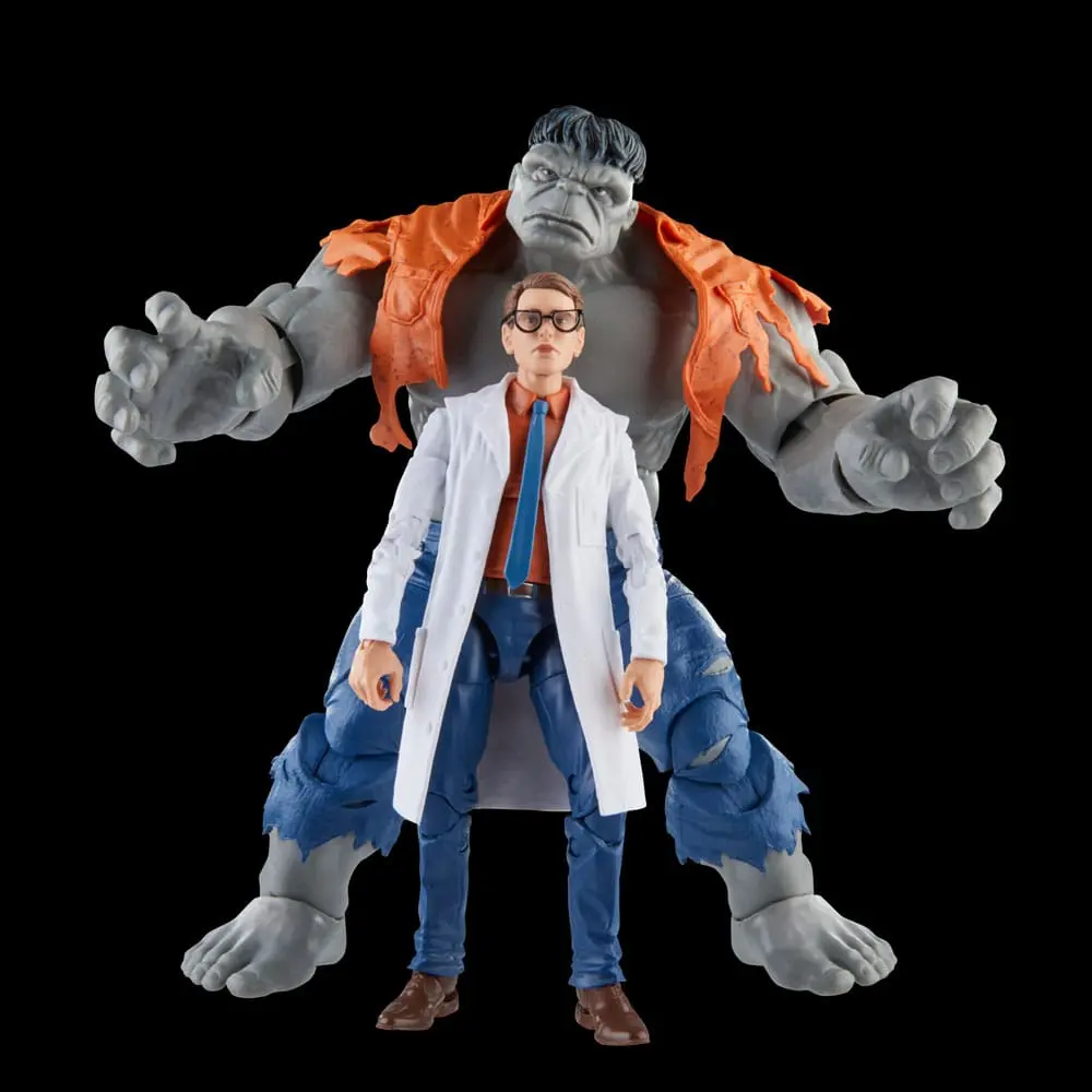 Avengers Marvel Legends akční figurky Šedý Hulk a Dr. Bruce Banner 15 cm fotografii produktu