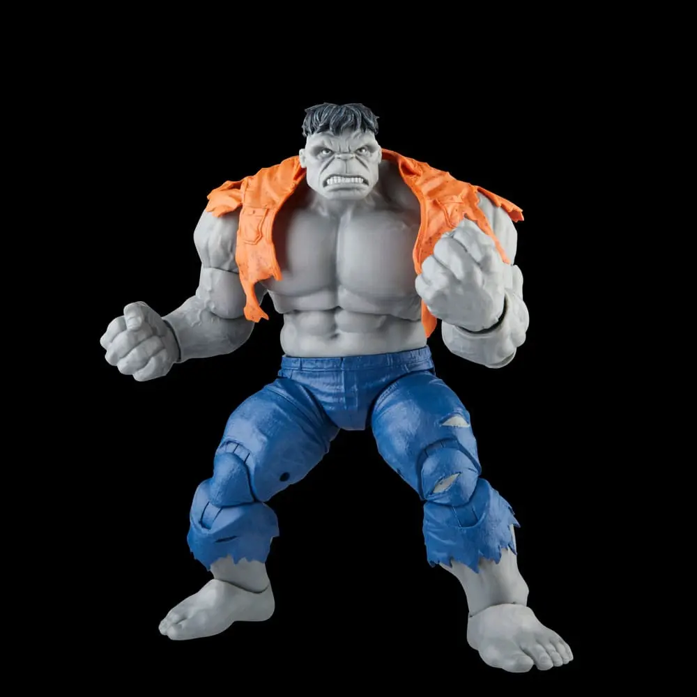 Avengers Marvel Legends akční figurky Šedý Hulk a Dr. Bruce Banner 15 cm fotografii produktu