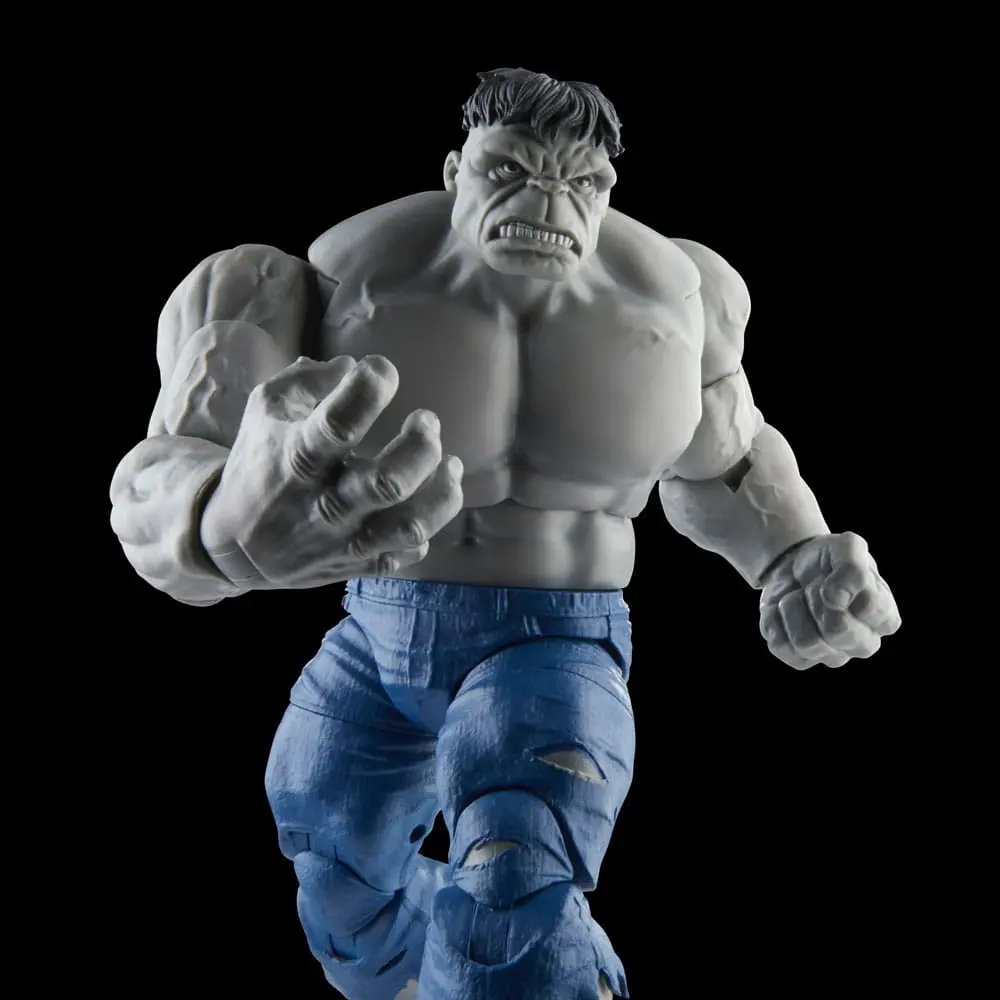 Avengers Marvel Legends akční figurky Šedý Hulk a Dr. Bruce Banner 15 cm fotografii produktu