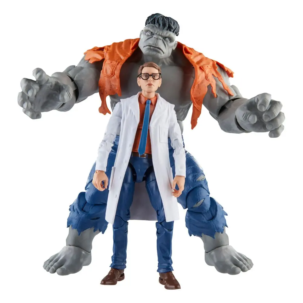 Avengers Marvel Legends akční figurky Šedý Hulk a Dr. Bruce Banner 15 cm fotografii produktu