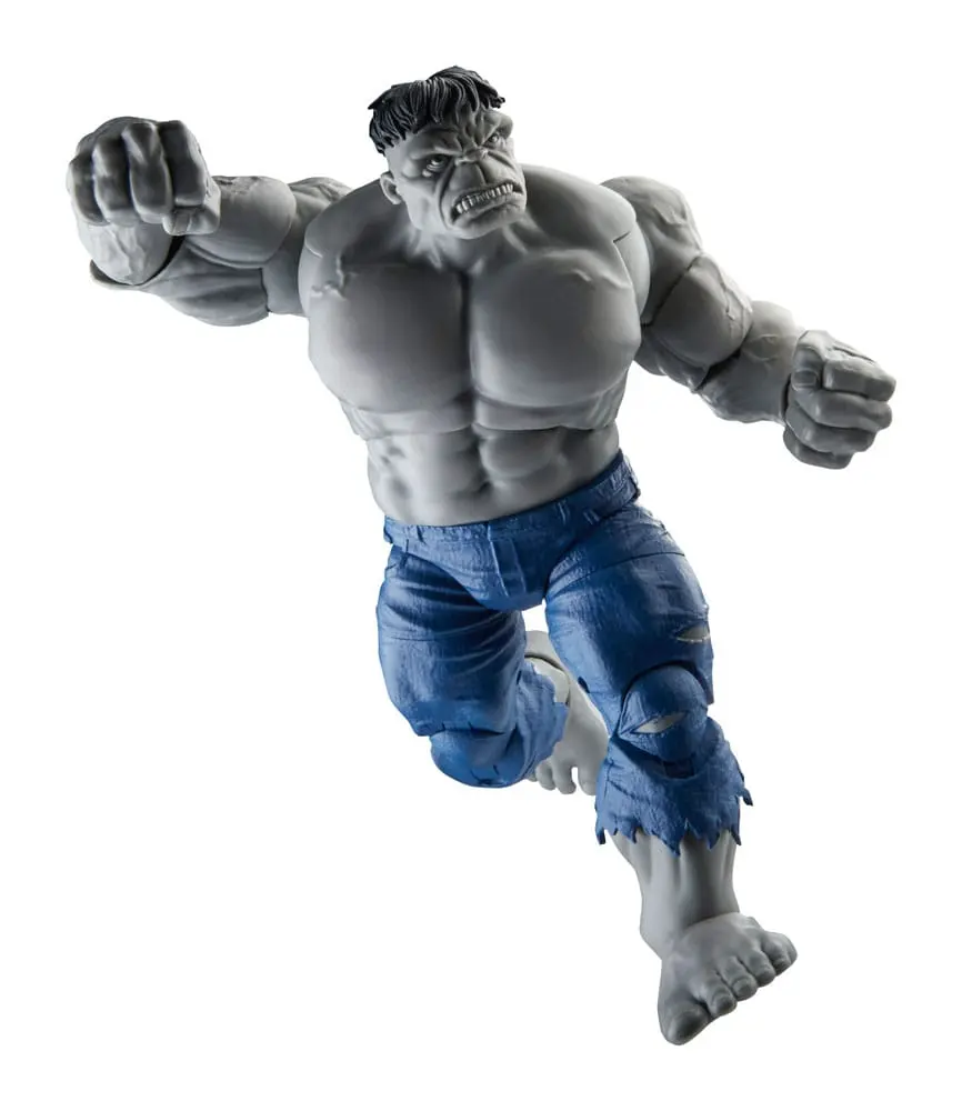 Avengers Marvel Legends akční figurky Šedý Hulk a Dr. Bruce Banner 15 cm fotografii produktu