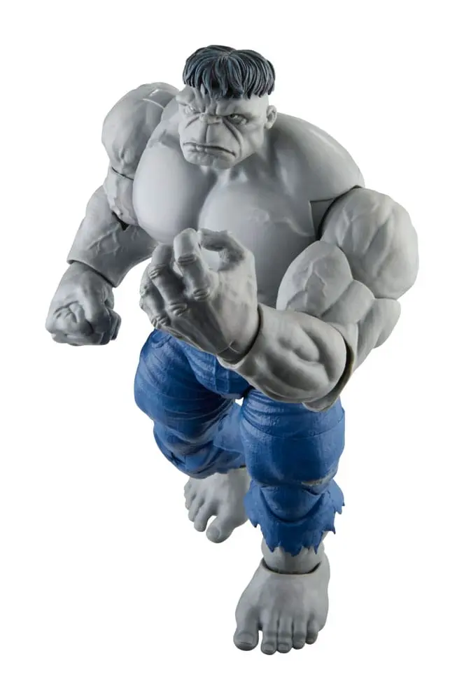 Avengers Marvel Legends akční figurky Šedý Hulk a Dr. Bruce Banner 15 cm fotografii produktu