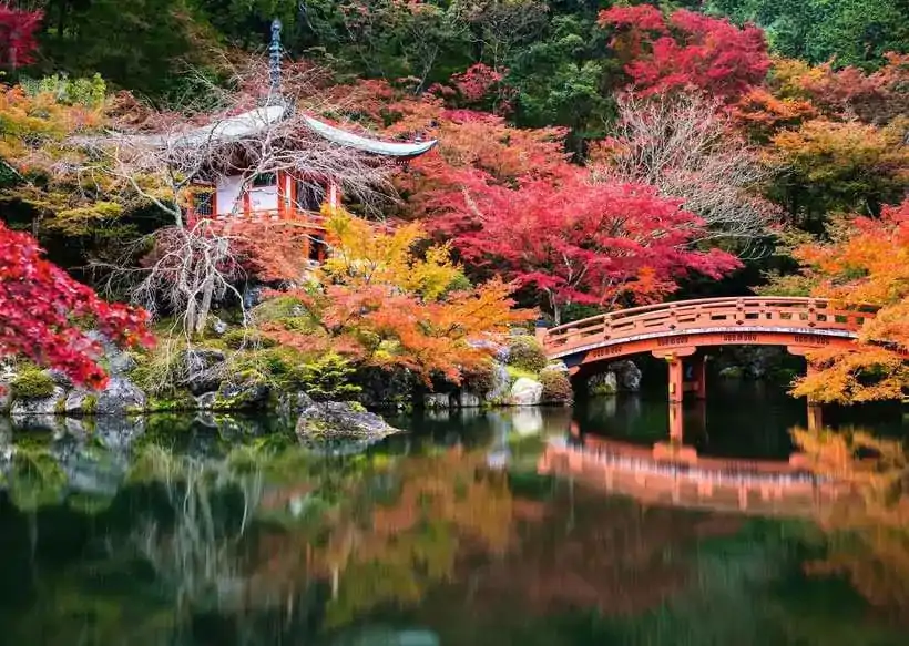 Krásné zahrady Puzzle Daigo-ji, Kyoto, Japonsko (1000 dílků) fotografii produktu