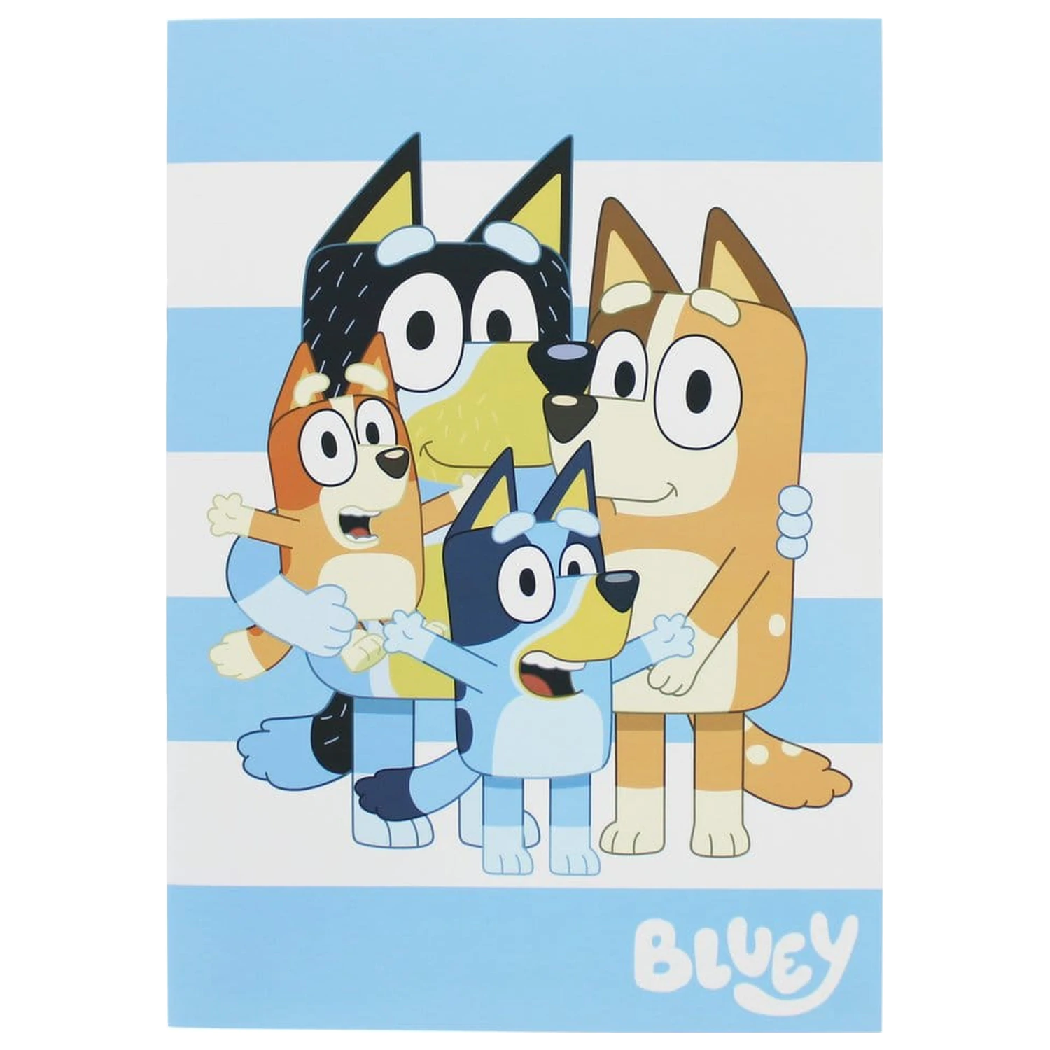 Bluey 11dílná papírnická sada fotografii produktu