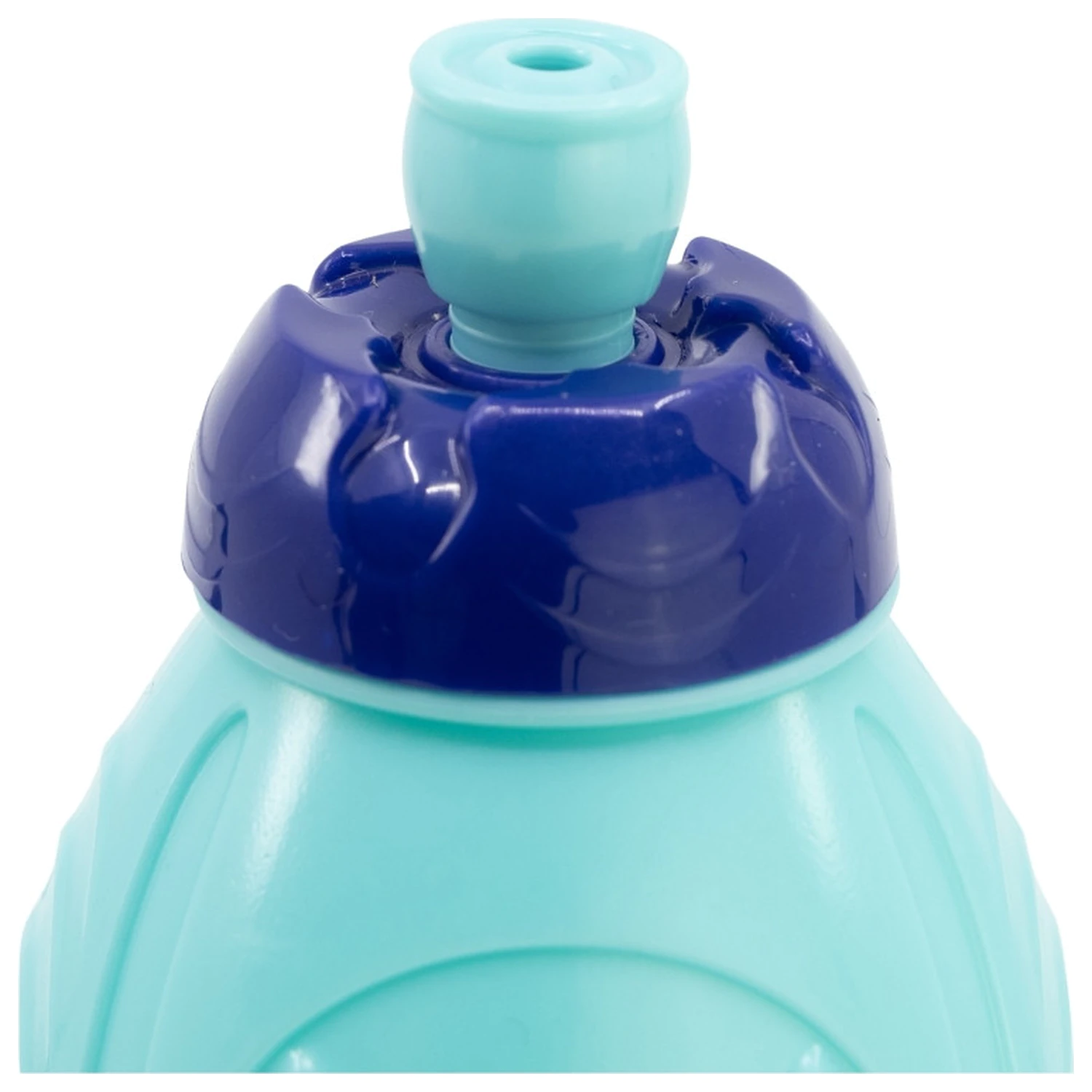 Bluey Leaves Plastová sportovní láhev 400 ml fotografii produktu