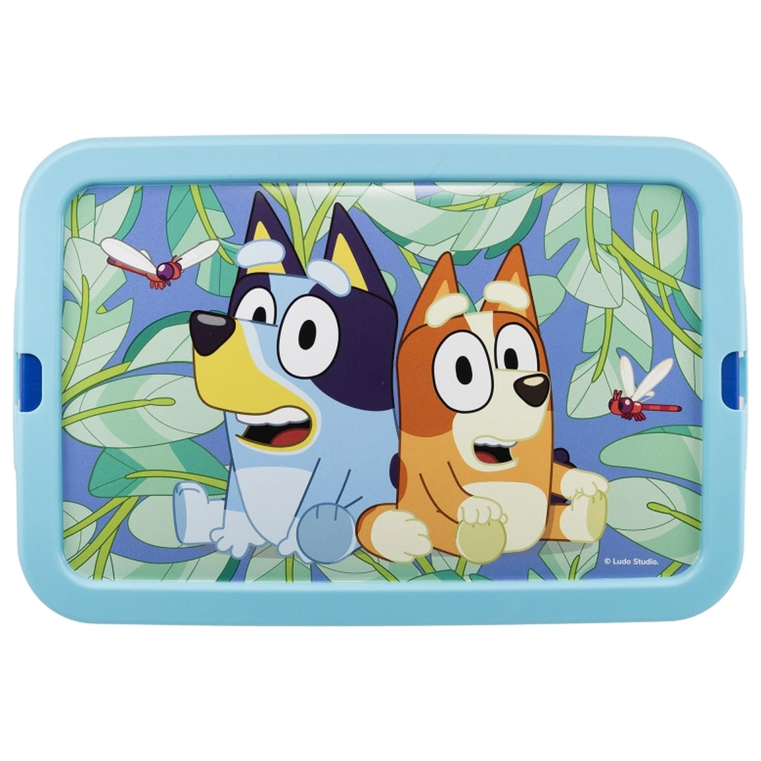 Bluey Leaves plastový úložný box 7 l fotografii produktu