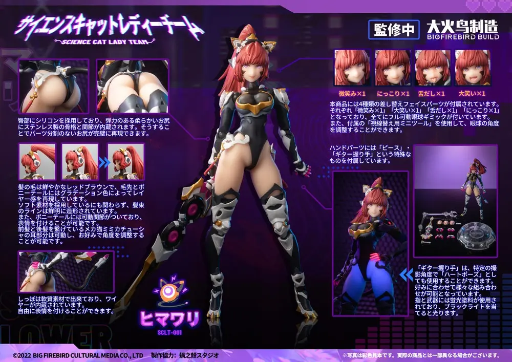 Bungaku Shoujo PVC socha 1/6 Science Cat Lady Team 001 33 cm fotografii produktu