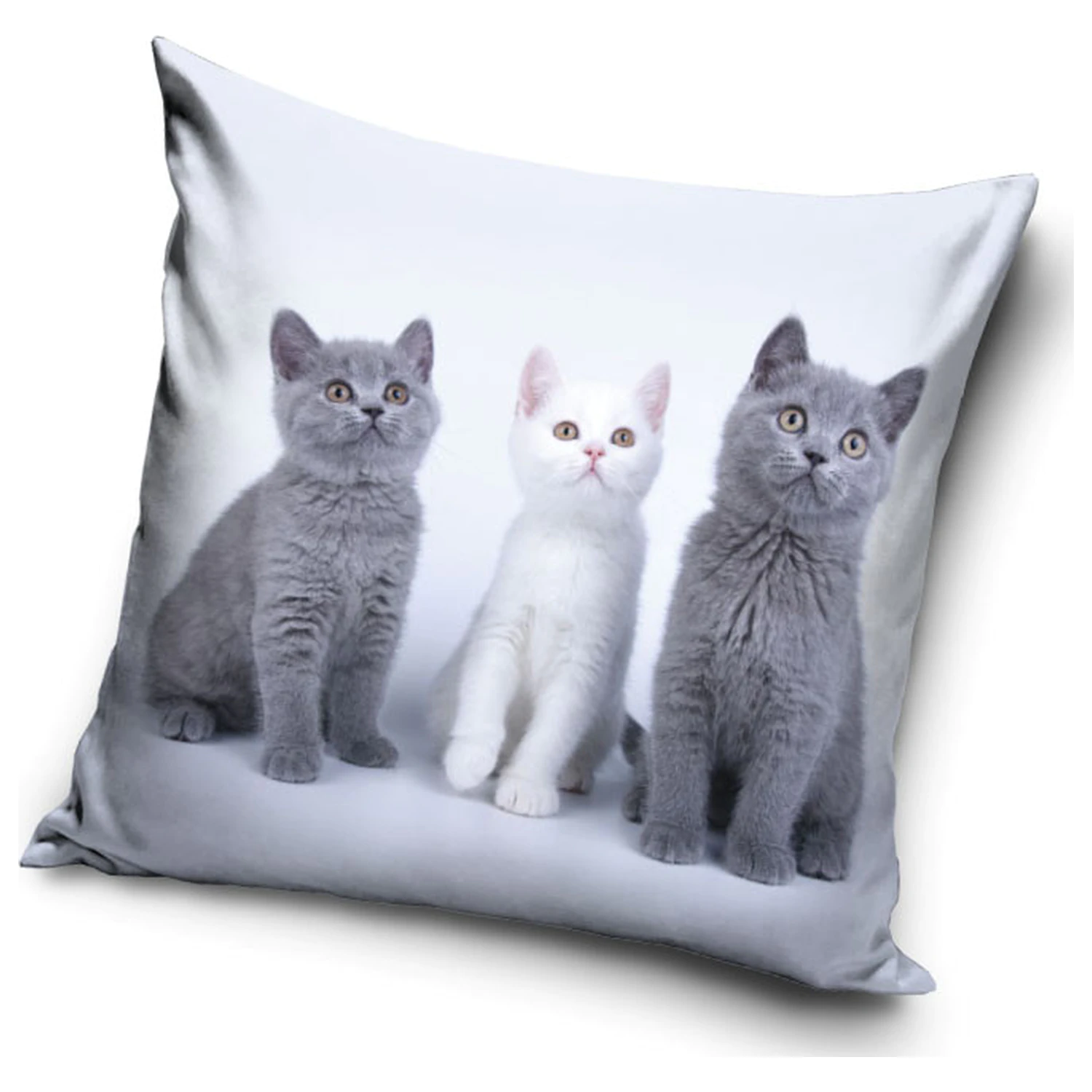 Cat Trio Povlak na polštář fotografii produktu