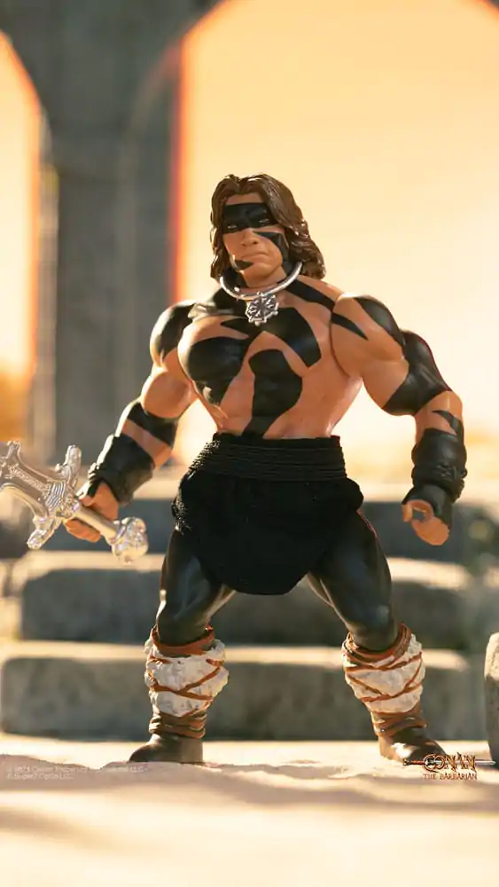 Conan the Barbarian 1982 Vintage Collection Akční figurka Vlna 1 Conan Warpaint Ver. 14 cm fotografii produktu