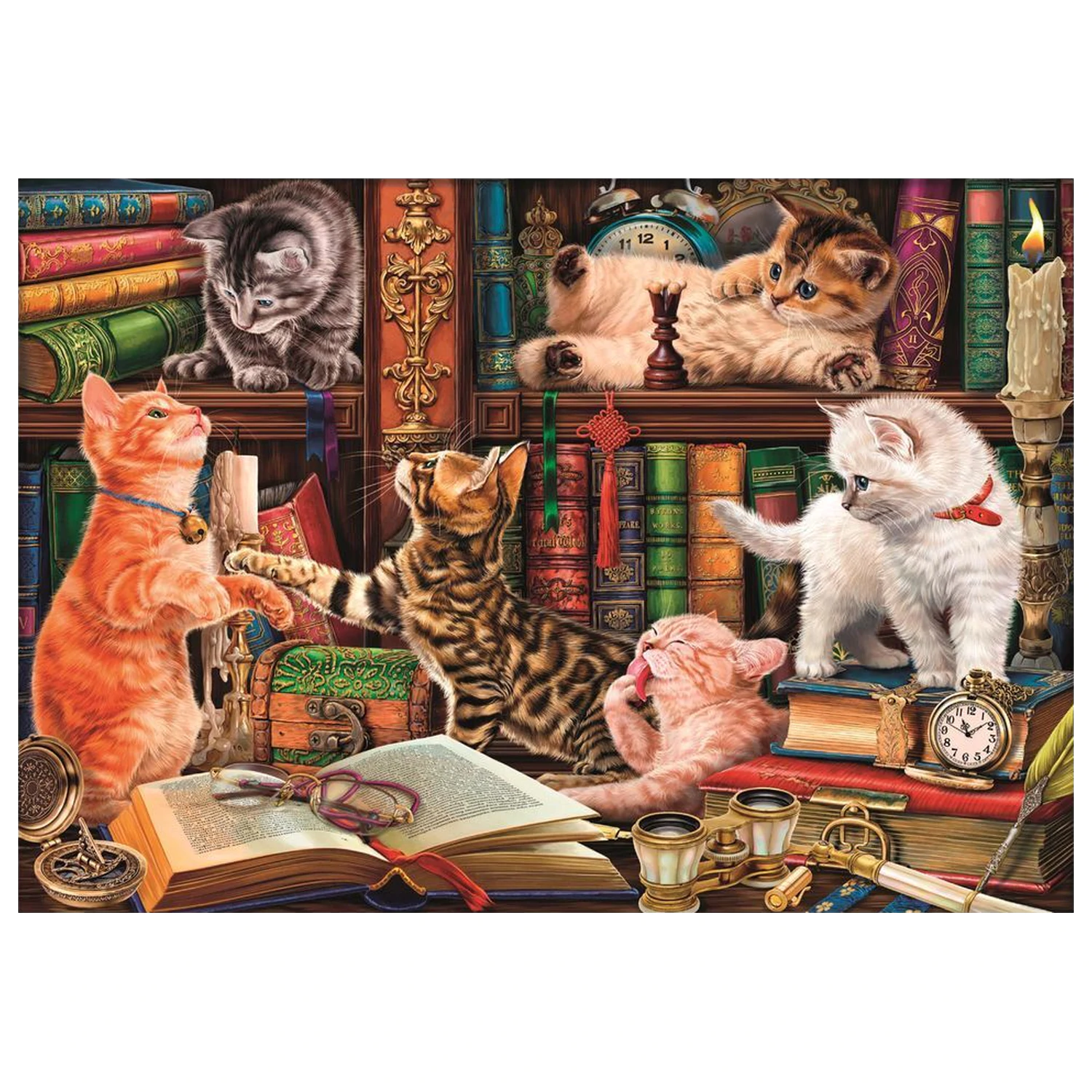 Curious Whiskers puzzle 1000 kusů fotografii produktu