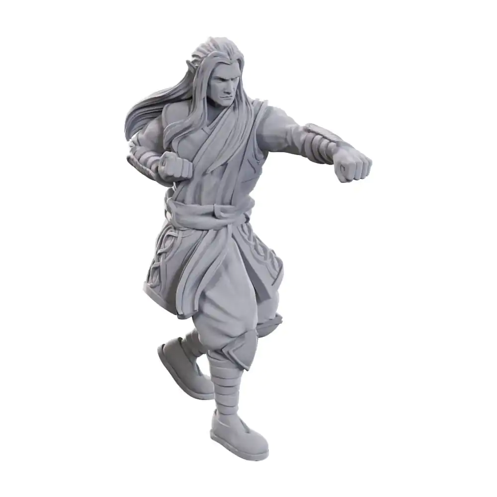 D&D Nolzur's Marvelous Miniatures nenabarvené miniatury balení 2 kusů: Archdruid & Martial Arts Adept fotografii produktu