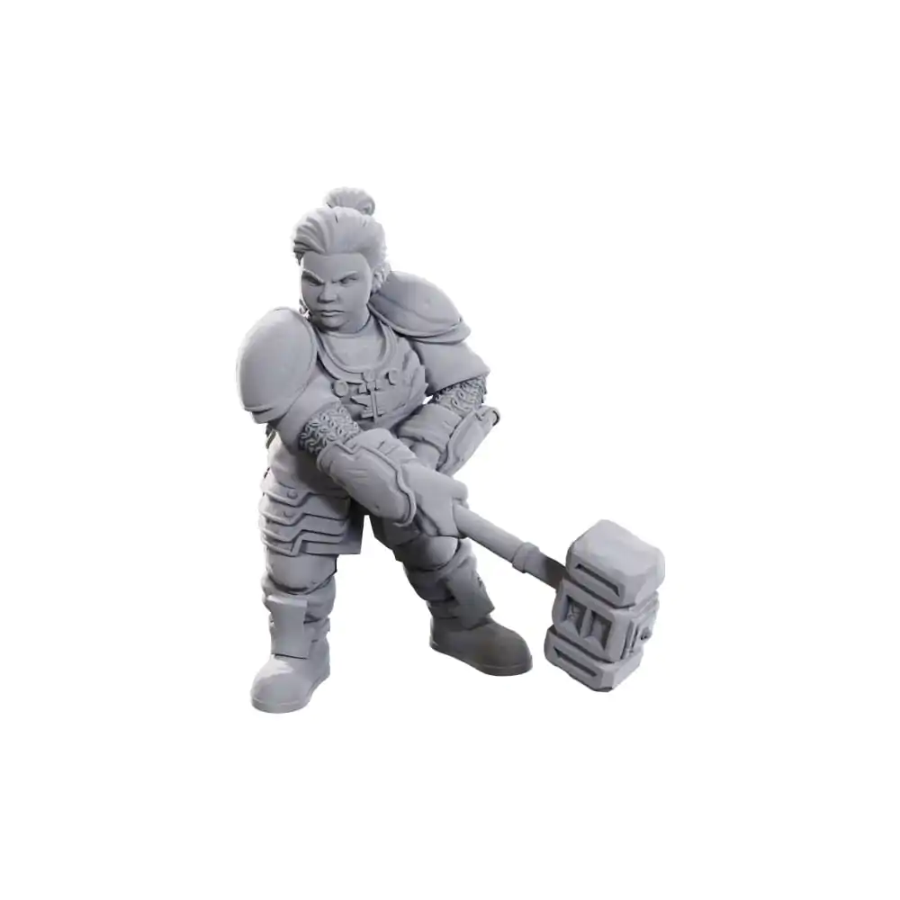 D&D Nolzur's Marvelous Miniatures Nenabarvené Miniatury 2-Pack 50. výročí Dwarves fotografii produktu