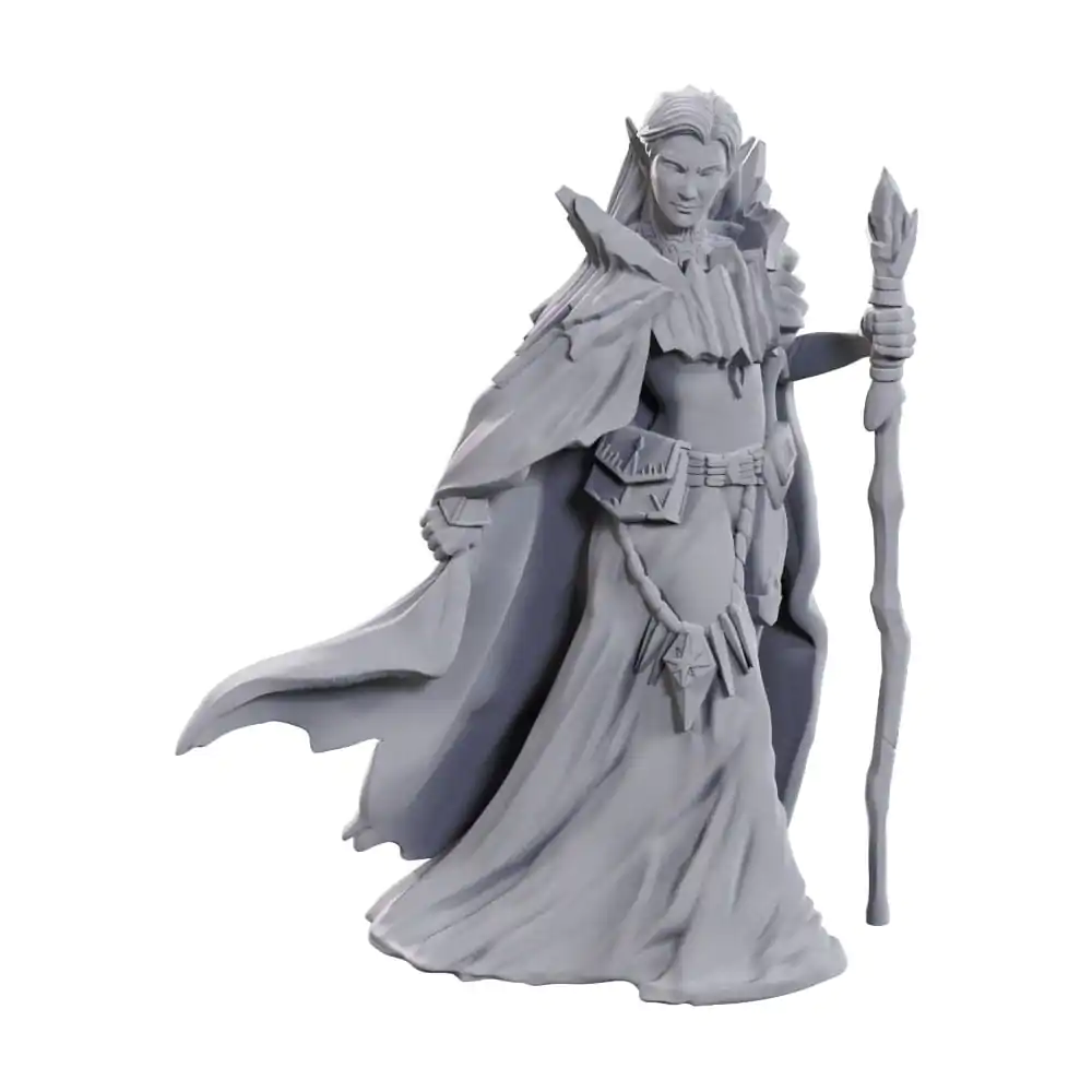 D&D Nolzur's Marvelous Miniatures Nenabarvené Miniatury 2-Pack 50. výročí Elfové fotografii produktu