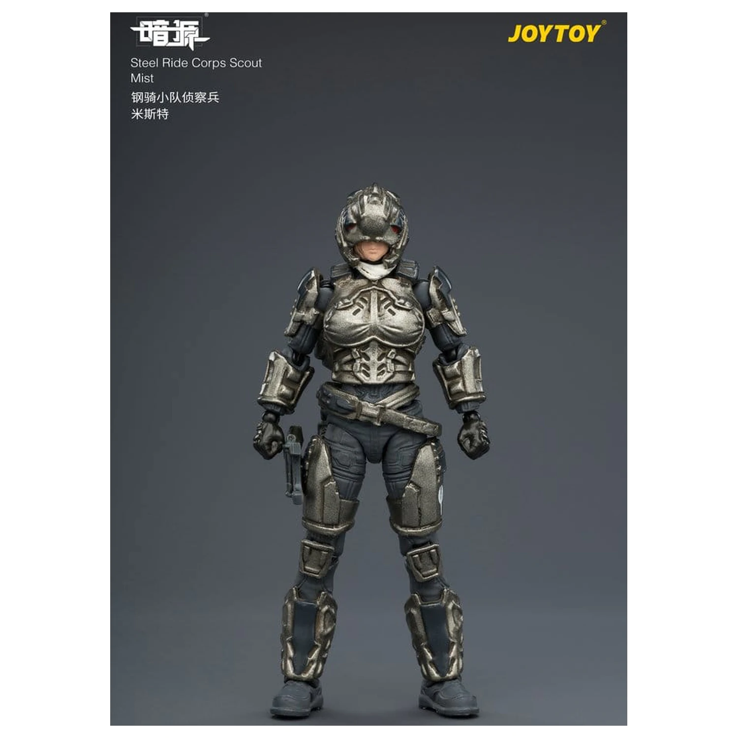 Dark Source Steel Ride Corps akční figurka Scout Mist 8 cm fotografii produktu
