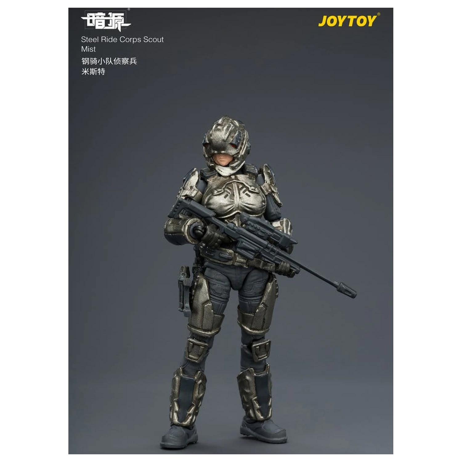 Dark Source Steel Ride Corps akční figurka Scout Mist 8 cm fotografii produktu