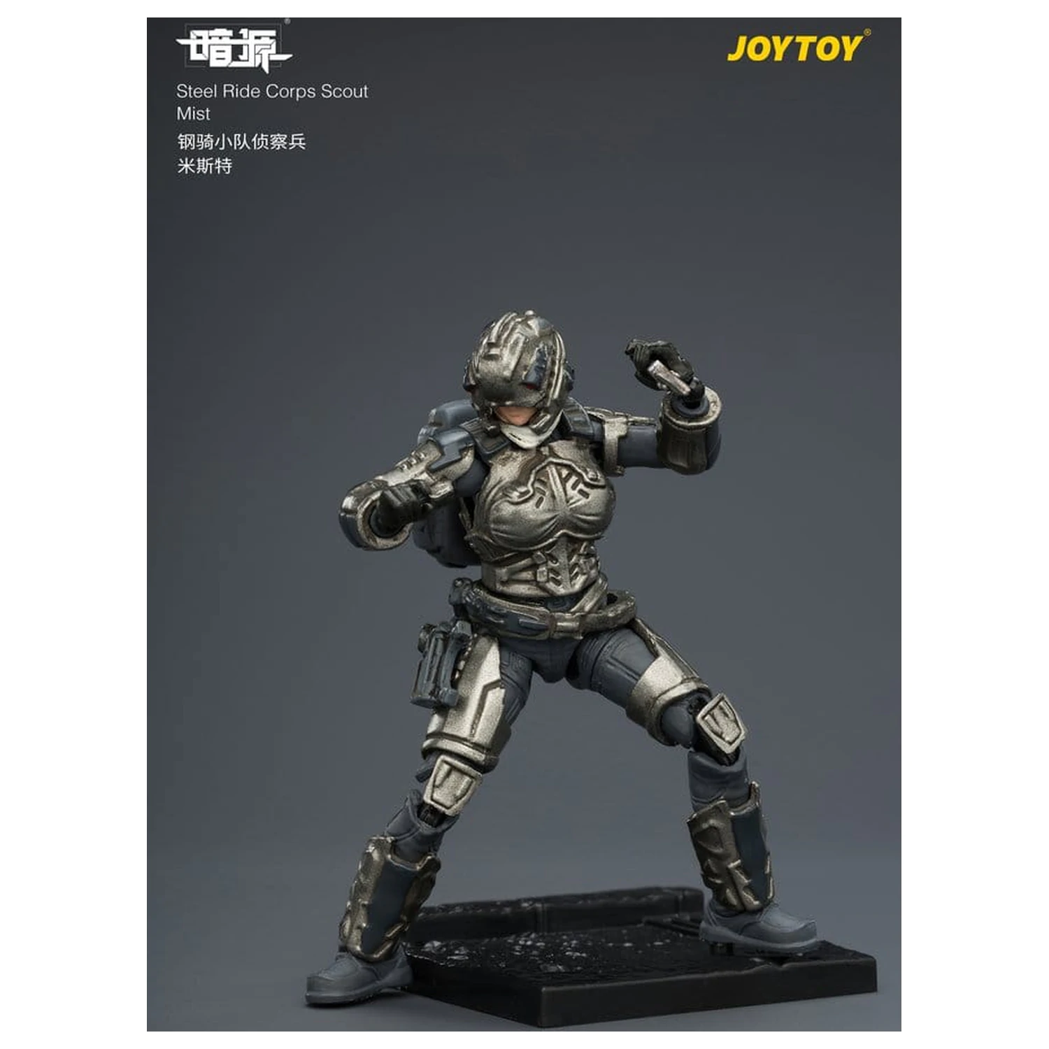 Dark Source Steel Ride Corps akční figurka Scout Mist 8 cm fotografii produktu