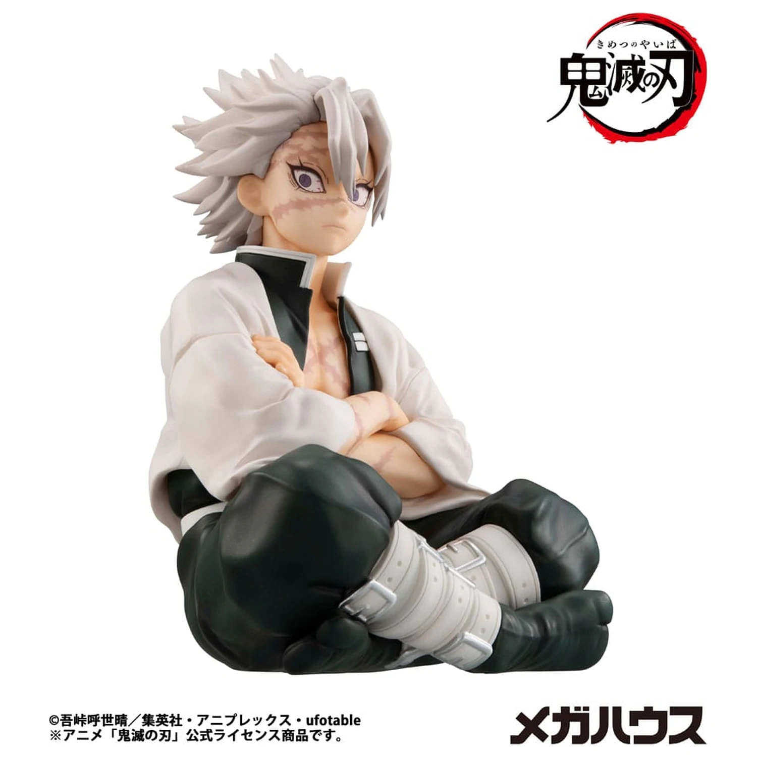 Demon Slayer Kimetsu no Yaiba G.E.M. PVC Socha Shinazugawa-san Palm Size 9 cm fotografii produktu