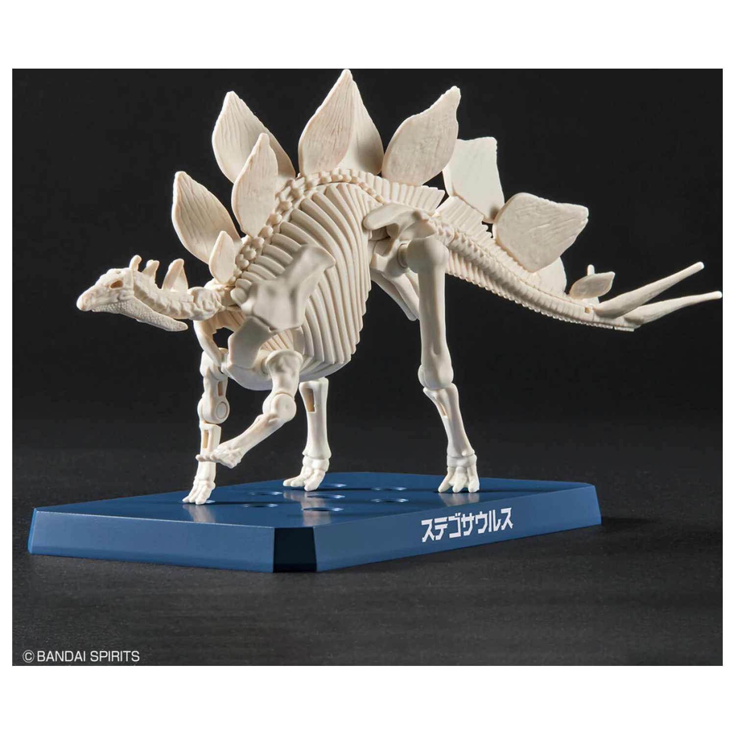 Dinosaur Nový Dinosaur Plastový Stegosaurus (Předběžné) Model Kit fotografii produktu