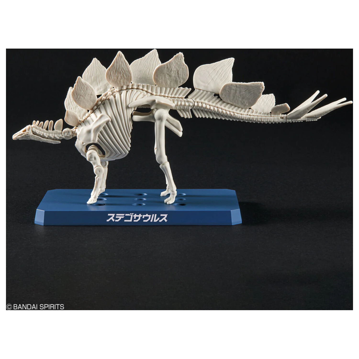 Dinosaur Nový Dinosaur Plastový Stegosaurus (Předběžné) Model Kit fotografii produktu